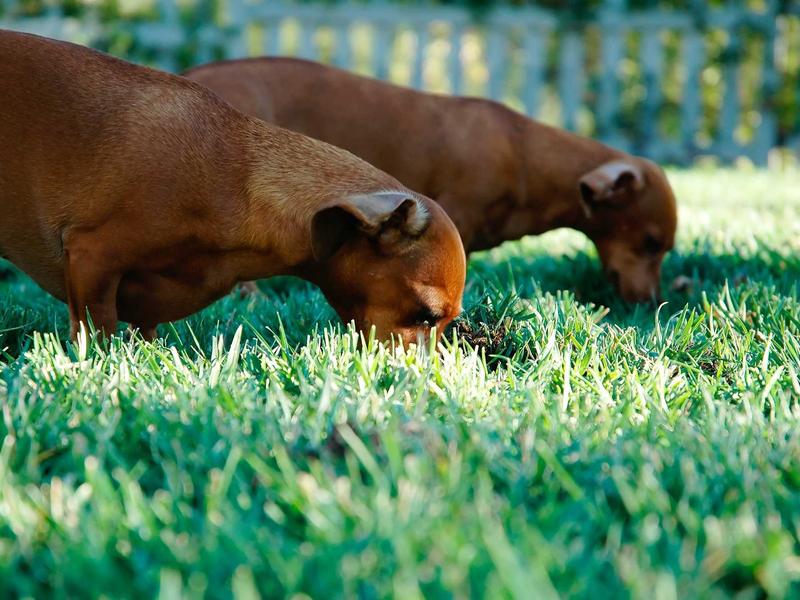 sudoku number placement