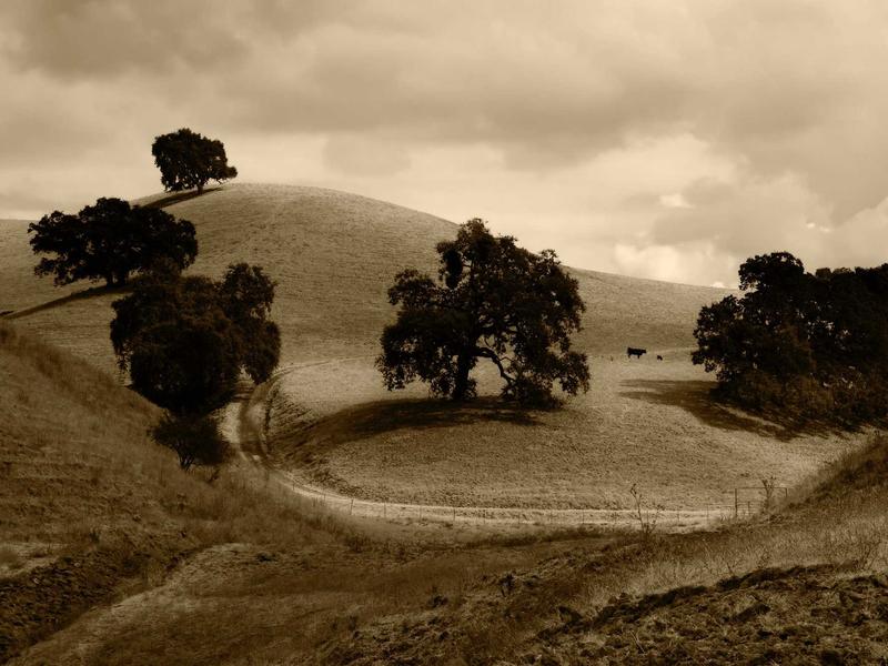 sudoku number placement screenshot 2